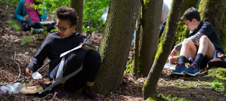 Blogs We Are Reading This Month - Flexible Seating Myths, The Power of Nature