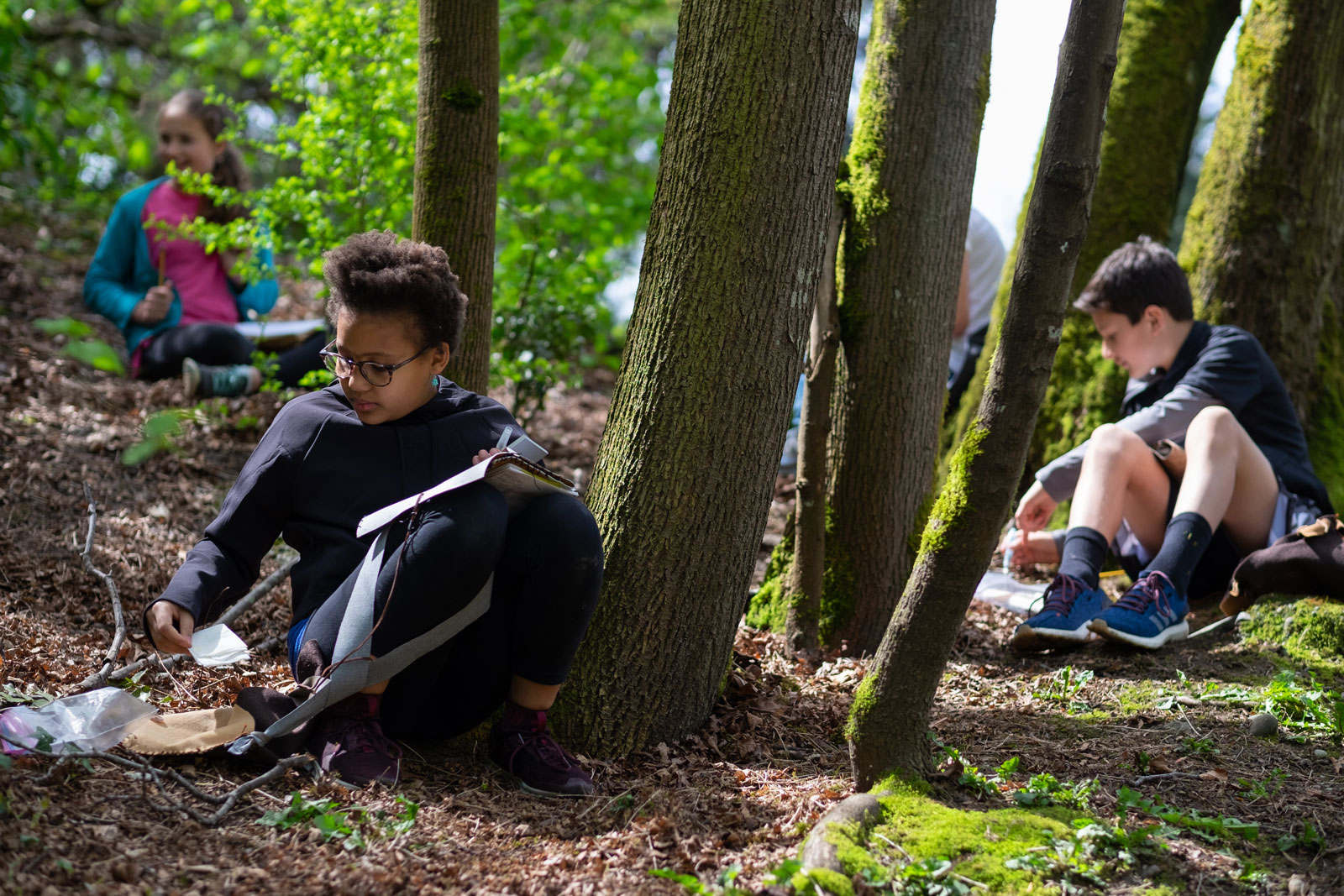 Blogs We Are Reading This Month - Flexible Seating Myths, The Power of Nature